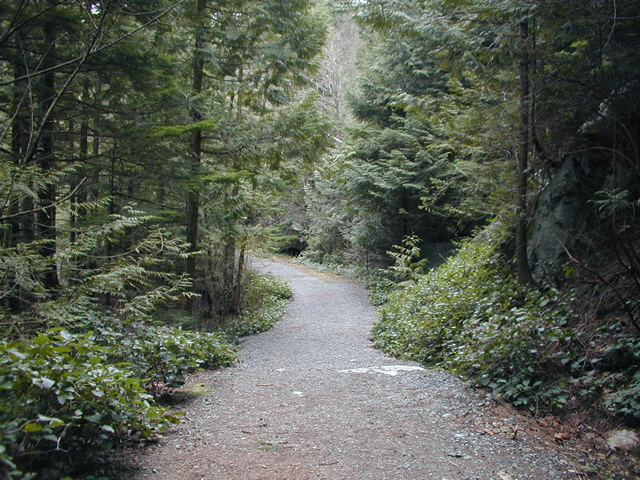 Browning Lake Trail