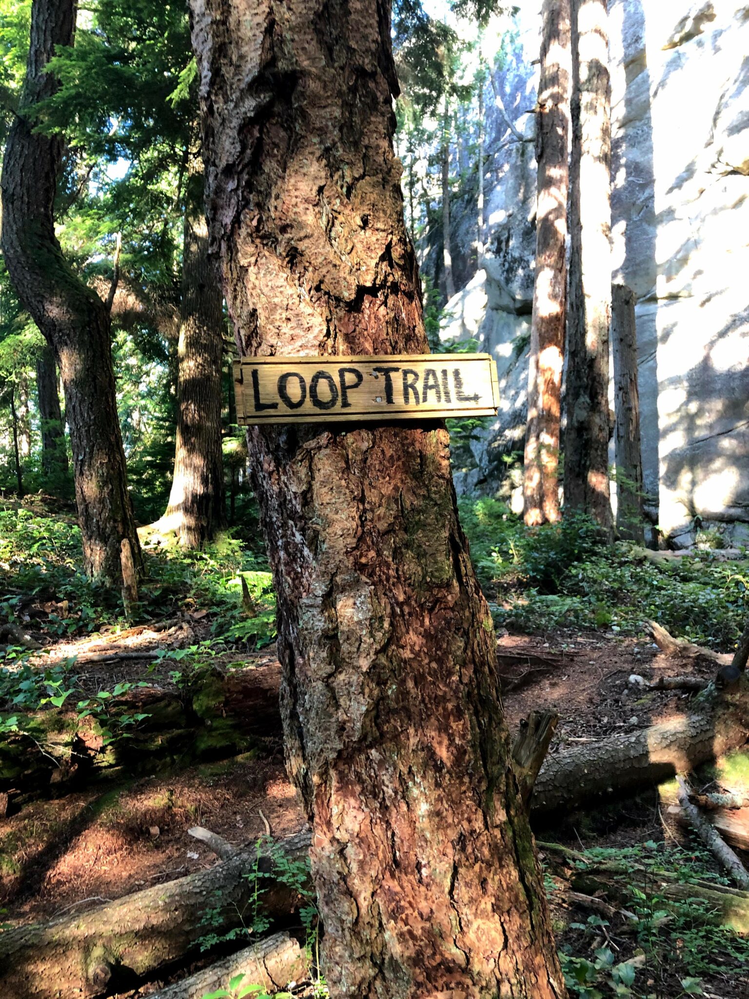 Murrin Loop Trail